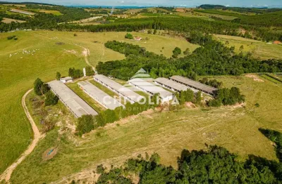 Sítio para suinocultura à venda, 372000 m² por r$ 4.500.000 - santa cruz dos matos - são miguel arcanjo/sp