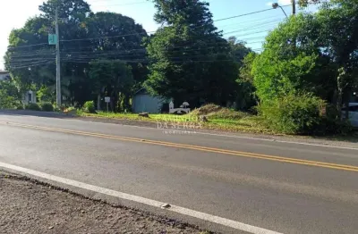 Amplo terreno às margens da rs-235 em nova petrópolis, a 5min da praça das flores