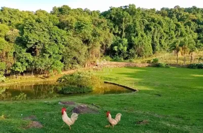 Chácara / sítio à venda na Rua Theobaldo Schmitt, Pinhal Alto, Nova Petrópolis