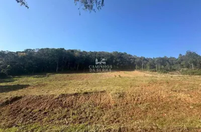 Terreno à venda na Rua Dos Ackermann, Canto Schenkel, Nova Petrópolis