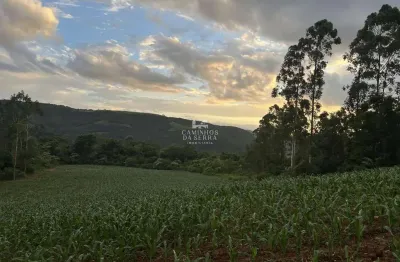 Chácara / sítio à venda na Vicente Preito, Pinhal Alto, Nova Petrópolis