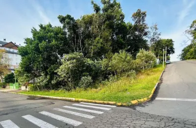 Amplo terreno à venda a 3min da praça das flores em nova petrópolis - oportunidade de investimento