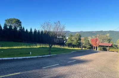 Terreno em condomínio fechado à venda na Rua Felipe Michaelsen, Vila Olinda, Nova Petrópolis