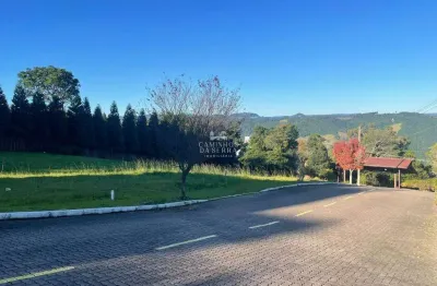 Terreno em condomínio fechado à venda na Rua Felipe Michaelsen, 1595, Vila Olinda, Nova Petrópolis