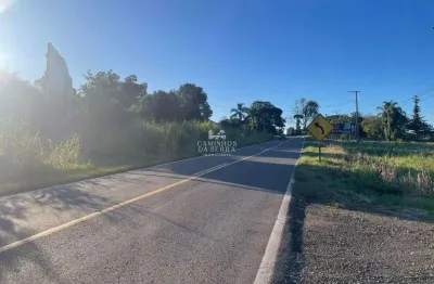 Terreno comercial à venda na Rs 235, 01, Linha Araripe, Nova Petrópolis