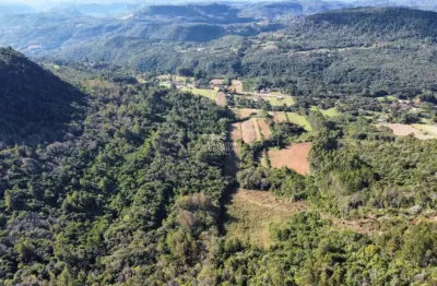 Terreno comercial à venda na Rs 235, Linha Araripe, Nova Petrópolis