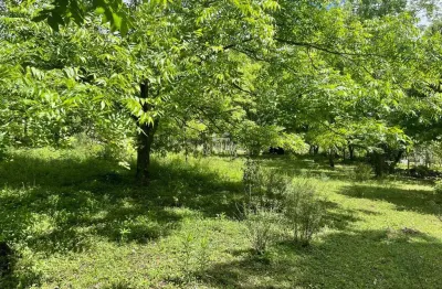 Chácara / sítio à venda na Rs 235, Linha Araripe, Nova Petrópolis