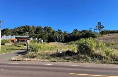 Terreno à venda na Rs 235, Linha Araripe, Nova Petrópolis