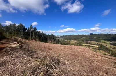 Terreno comercial à venda na Sn, Pinhal Alto, Nova Petrópolis