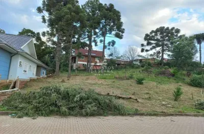 Terreno à venda na Rua Ipiranga, 3, Centro, Nova Petrópolis