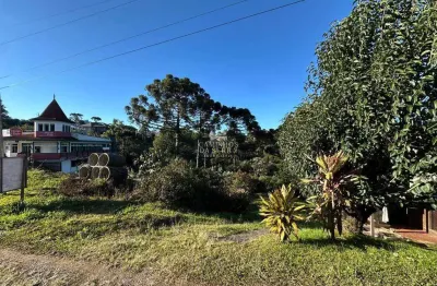Terreno comercial à venda na Avenida 15 De Novembro, Pousada da Neve, Nova Petrópolis