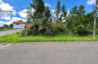 Terreno à venda na Rua Da Paz, Logradouro, Nova Petrópolis