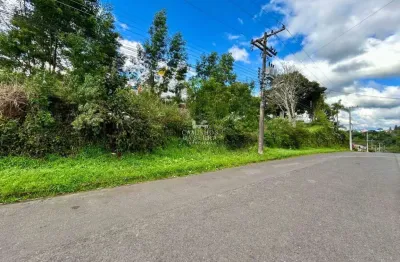 Terreno à venda na Rua Da Paz, Logradouro, Nova Petrópolis
