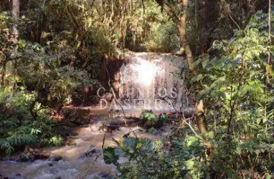 Fazenda à venda na Rua Aloysio Arthur Mombach, 1, Vila Olinda, Nova Petrópolis
