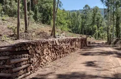Área de 2,1 hectares à venda, a 10km do centro de nova petrópolis