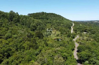 Fazenda à venda na Avenida Ninho Das ÁGuias, 2, Fazenda Pirajá, Nova Petrópolis