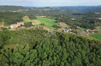 Fazenda à venda na Rua Antonio Schoeller, Linha Imperial, Nova Petrópolis