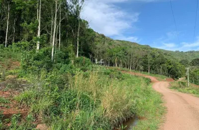 Fazenda à venda na Rua Vicente Pellenz, 01, Linha Olinda, Nova Petrópolis