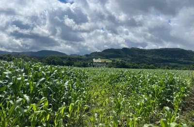 Fazenda à venda na Rua Do Panelão, Linha Araripe, Nova Petrópolis