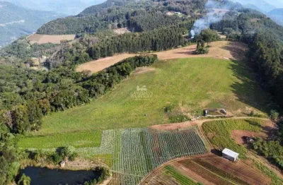 Fazenda à venda na Travessão Tirolez, 01, Galópolis, Caxias do Sul