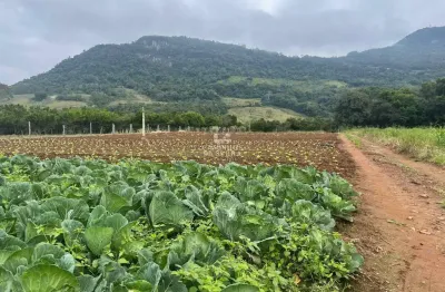 Fazenda à venda na Rua Estrada Do Rio Caí, 1198, Juriti, Nova Petrópolis