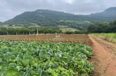 Fazenda à venda na Rua Estrada Do Rio Caí, 1198, São José do Caí, Nova Petrópolis