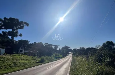 Área com 10 hectares à venda, entre nova petrópolis e gramado