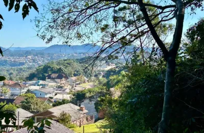 Terreno comercial à venda na Rua Eucaliptos, Vale Verde, Nova Petrópolis