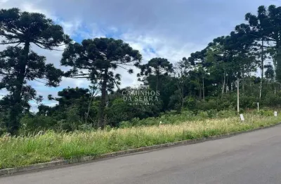 Terreno à venda na Rua Jardim Europa, 01, Vila Olinda, Nova Petrópolis