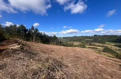 Fazenda à venda na Vicente Pietro, 01, Pinhal Alto, Nova Petrópolis