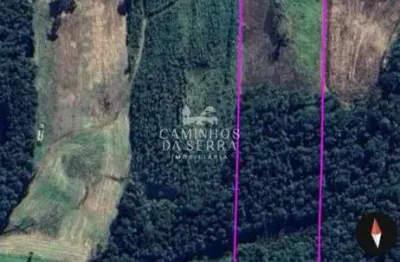 Fazenda à venda na Pinhal Alto, sn, Pinhal Alto, Nova Petrópolis