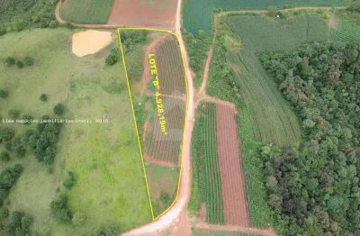 Área rural para venda em campo magro, capivara dos freitas