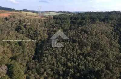 Terreno comercial à venda na Rua São Paulo, S/N, Zona Rural, Campo Magro