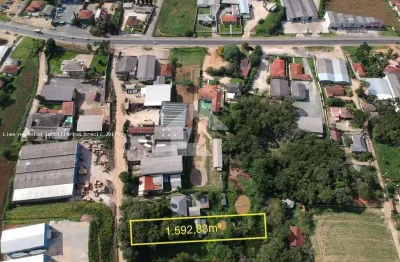 Terreno à venda na Rua Expedicionario Andre L Aleis, 186, Centro, Campo Magro