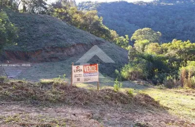 Terreno comercial à venda na Estrada 3 Barras, s/n, Bateias, Campo Largo