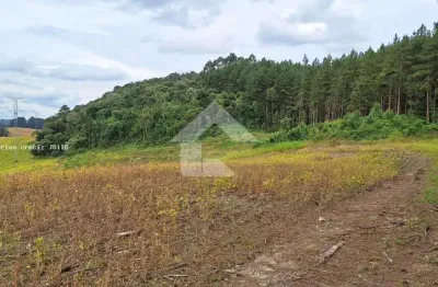 Terreno comercial à venda na Rua Do Forno, s/n, Centro, Campo Magro
