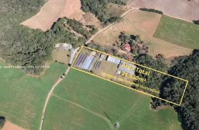 Chácara para Venda em Campo Largo, Colônia Figueiredo, 2 banheiros