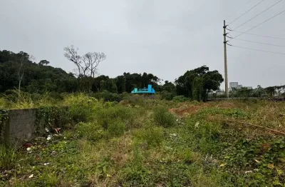 Terreno à venda no Campeche, Florianópolis 