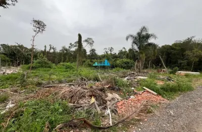 Terreno à venda no campeche, florianópolis  por r$ 50.000.000