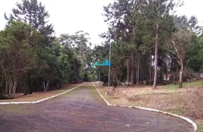 Terreno à venda no ratones, florianópolis  por r$ 600.000