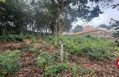 Terreno à venda, 1005 m² por r$ 220.000 - condominio quintas do brumado - brumadinho/minas gerais