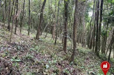 Terreno à venda, 1000 m² por r$ 200.000,00 - casa branca - brumadinho/mg
