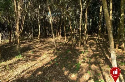 Terreno à venda, 1000 m² por r$ 420.000 - brumadinho - brumadinho/mg