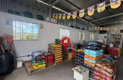Loja para alugar, 82 m² por r$ 3.800,00/mês - jota - brumadinho/mg