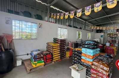 Loja para alugar, 82 m² por r$ 3.800,00/mês - jota - brumadinho/mg