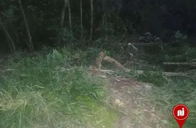 Terreno à venda, 490 m² por r$ 150.000 - retiro do brumado - brumadinho/mg