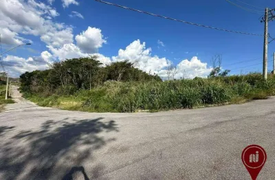 Terreno à venda, 1000 m² por R$ 260.000 - Condomínio Asa Ville - Brumadinho/Minas Gerais
