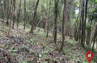 Terreno à venda, 1000 m² por r$ 200.000,00 - casa branca - brumadinho/mg