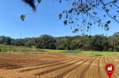 Terreno à venda, 809 m² por r$ 200.000 - ?santa rosa - sarzedo/mg