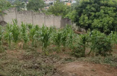 Terreno à venda, 500 m² por r$ 115.000,00 - são geraldo - florestal/mg
